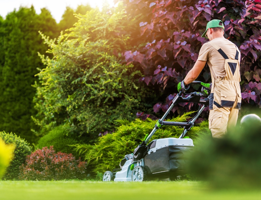 Grünflächenpflege